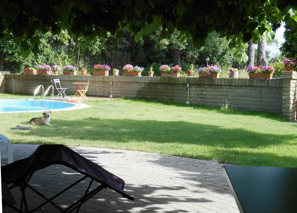 Casale Del Tiglio Bed & Breakfast Cerveteri Oda fotoğraf