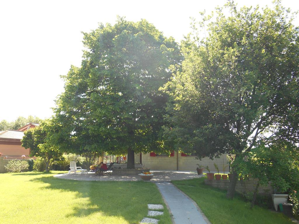 Casale Del Tiglio Bed & Breakfast Cerveteri Oda fotoğraf