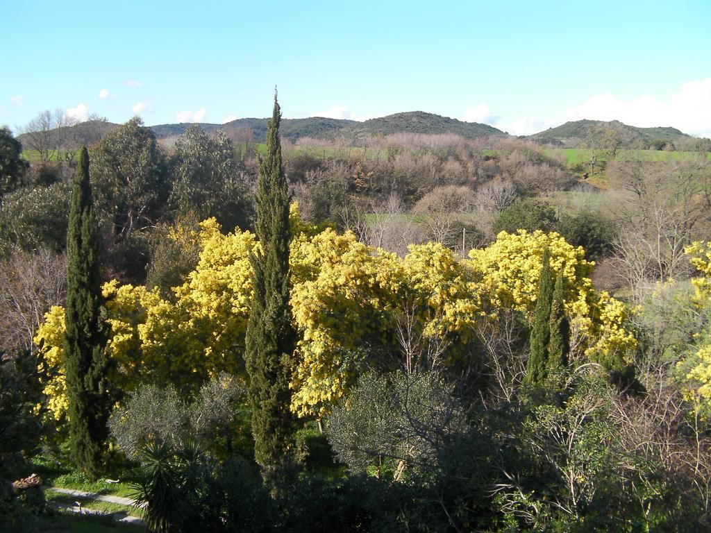 Casale Del Tiglio Bed & Breakfast Cerveteri Oda fotoğraf