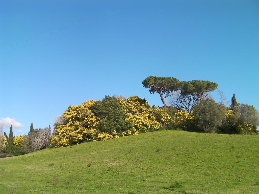 Casale Del Tiglio Bed & Breakfast Cerveteri Oda fotoğraf