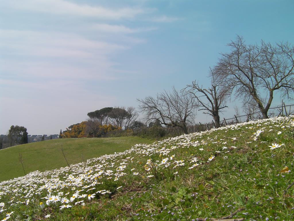 Casale Del Tiglio Bed & Breakfast Cerveteri Oda fotoğraf
